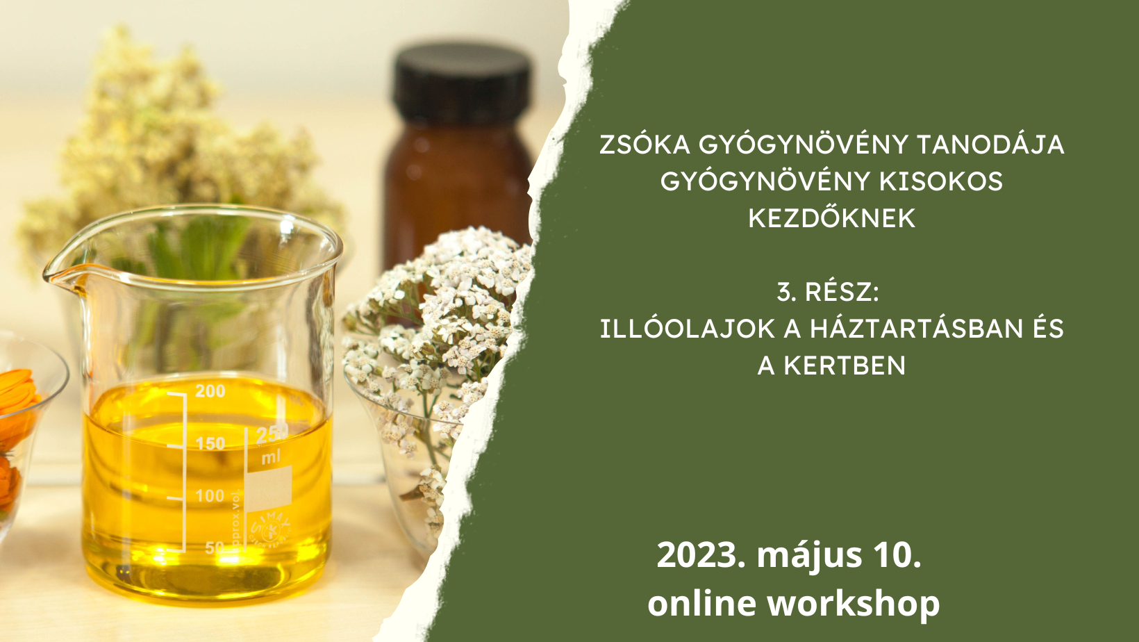 Zsóka gyógynövény tanodája - Illóolajok a háztartásban és a kertben
