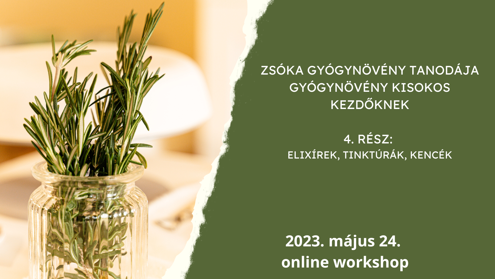 Zsóka gyógynövény tanodája - Elixírek, tinktúrák, kencék